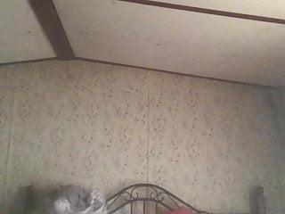 Telefon spricht vom Schwanz mit dem Schwanz